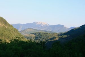 Stage Damias en juillet 2019