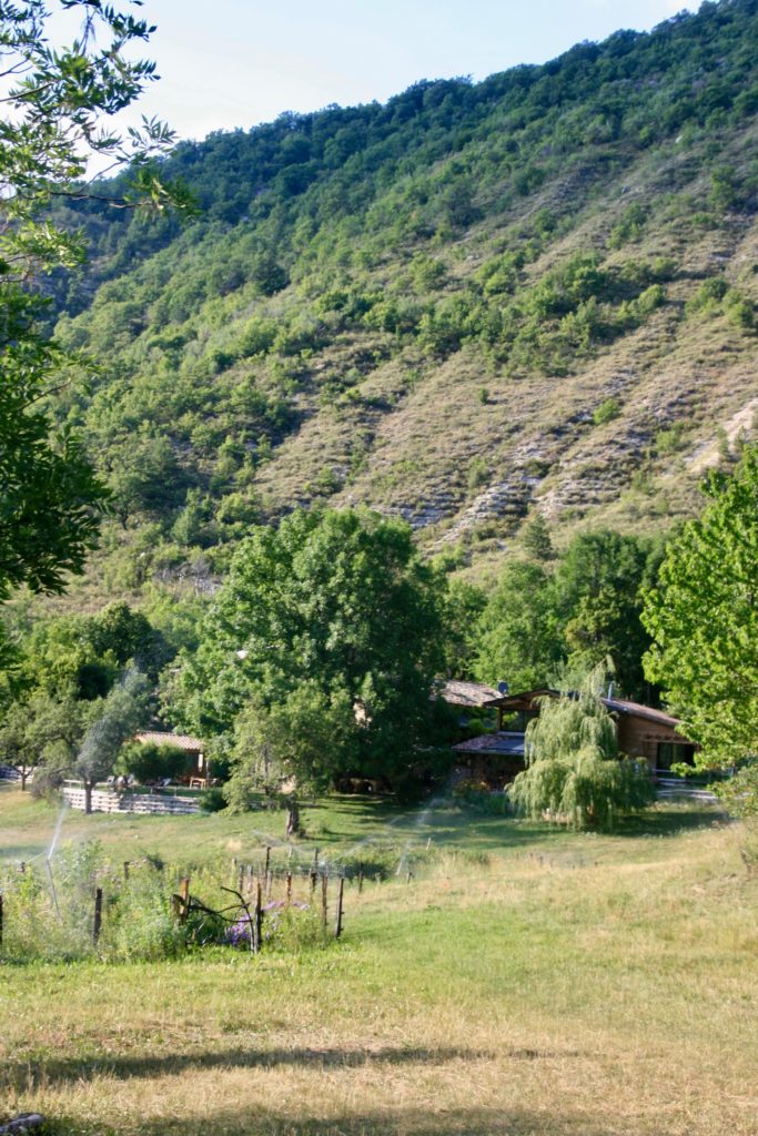 Stage Damias en juillet 2019