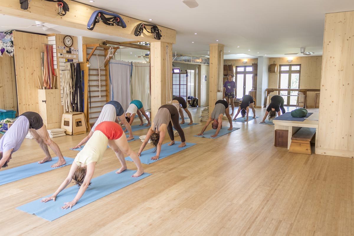 cours-de-yoga-iyengar-avance