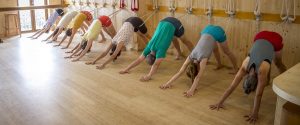 cours yoga iyengar